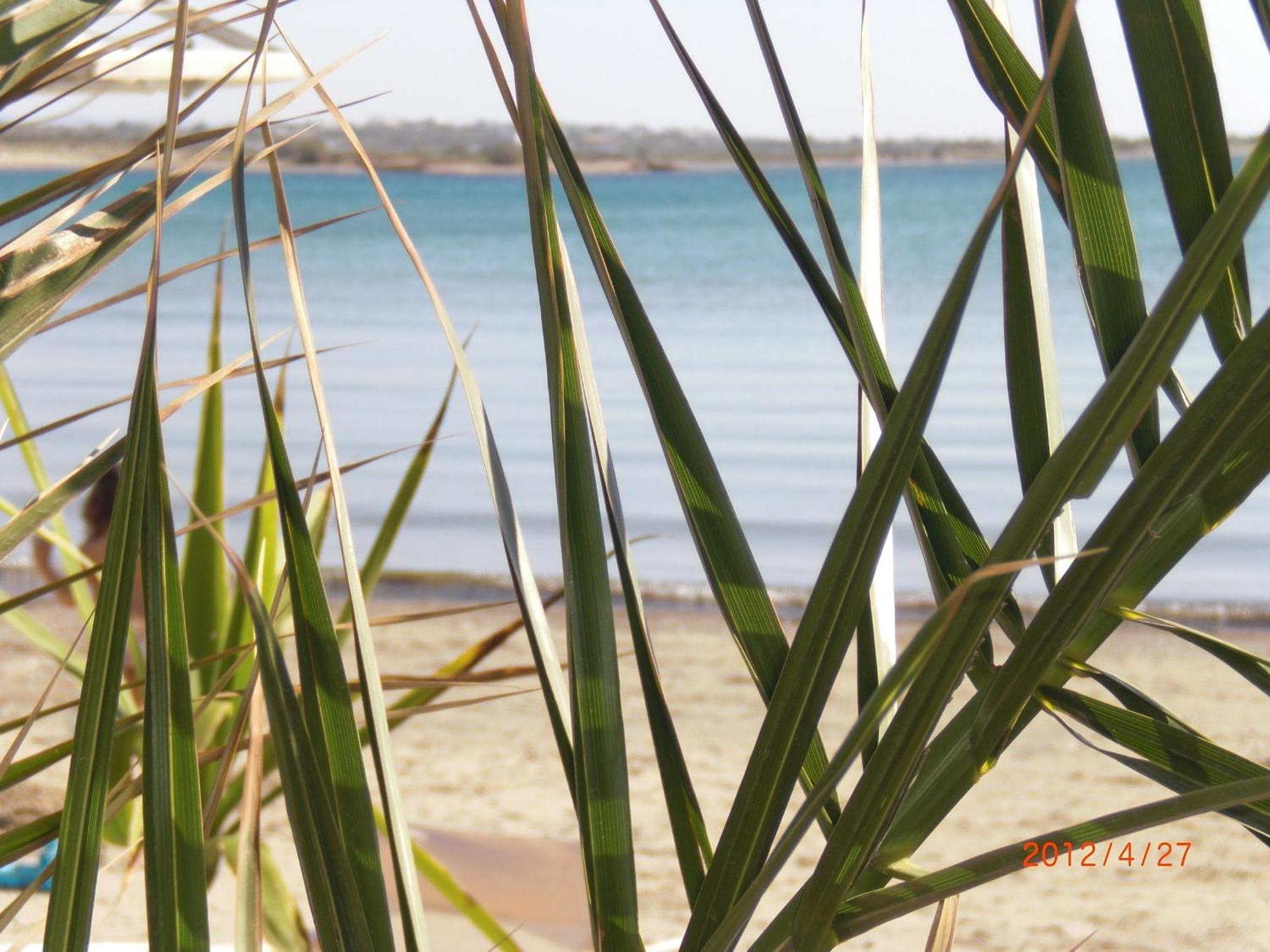 Naxos City Panormos Hotel And Studios מראה חיצוני תמונה